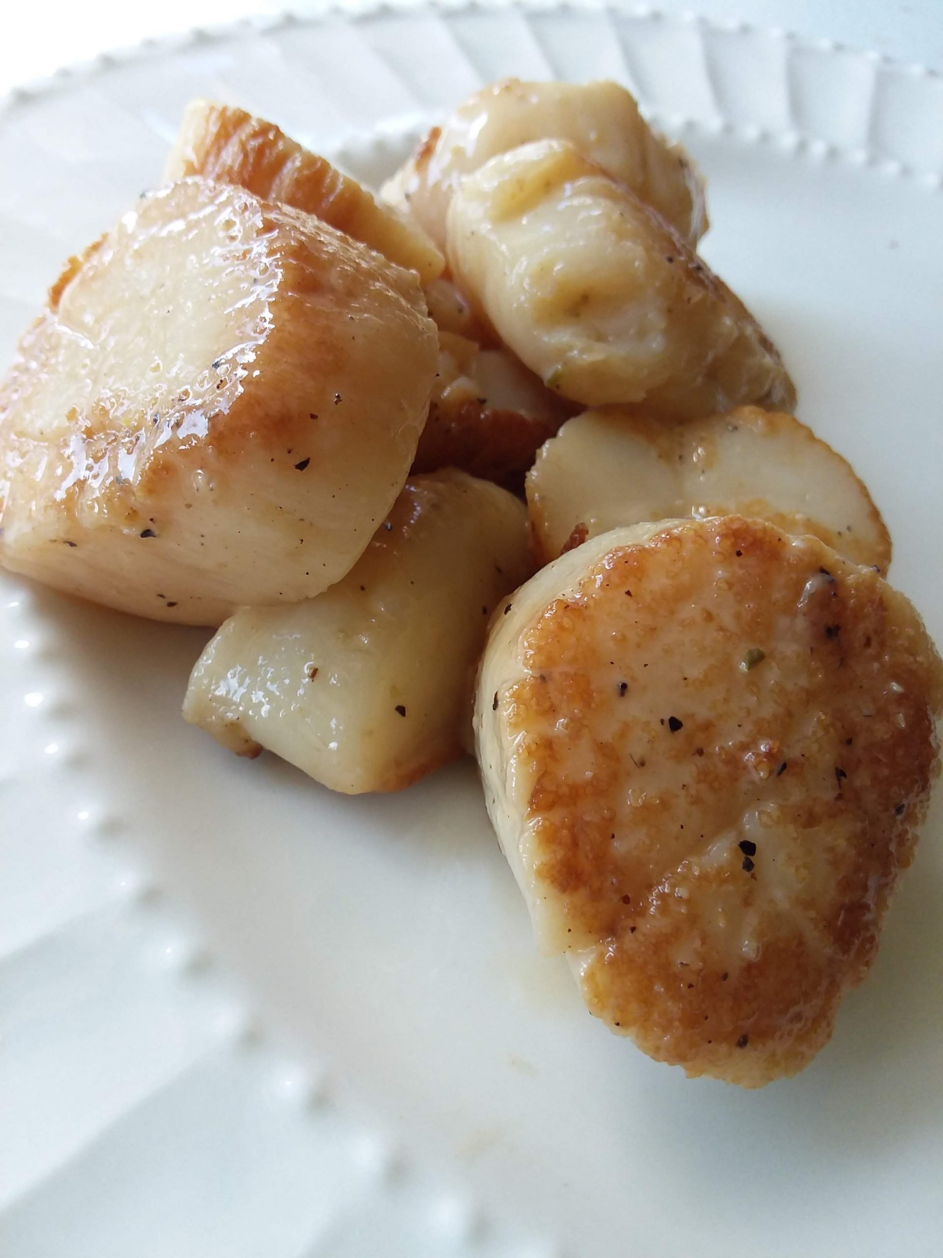 Seared Maine scallops on a white plate