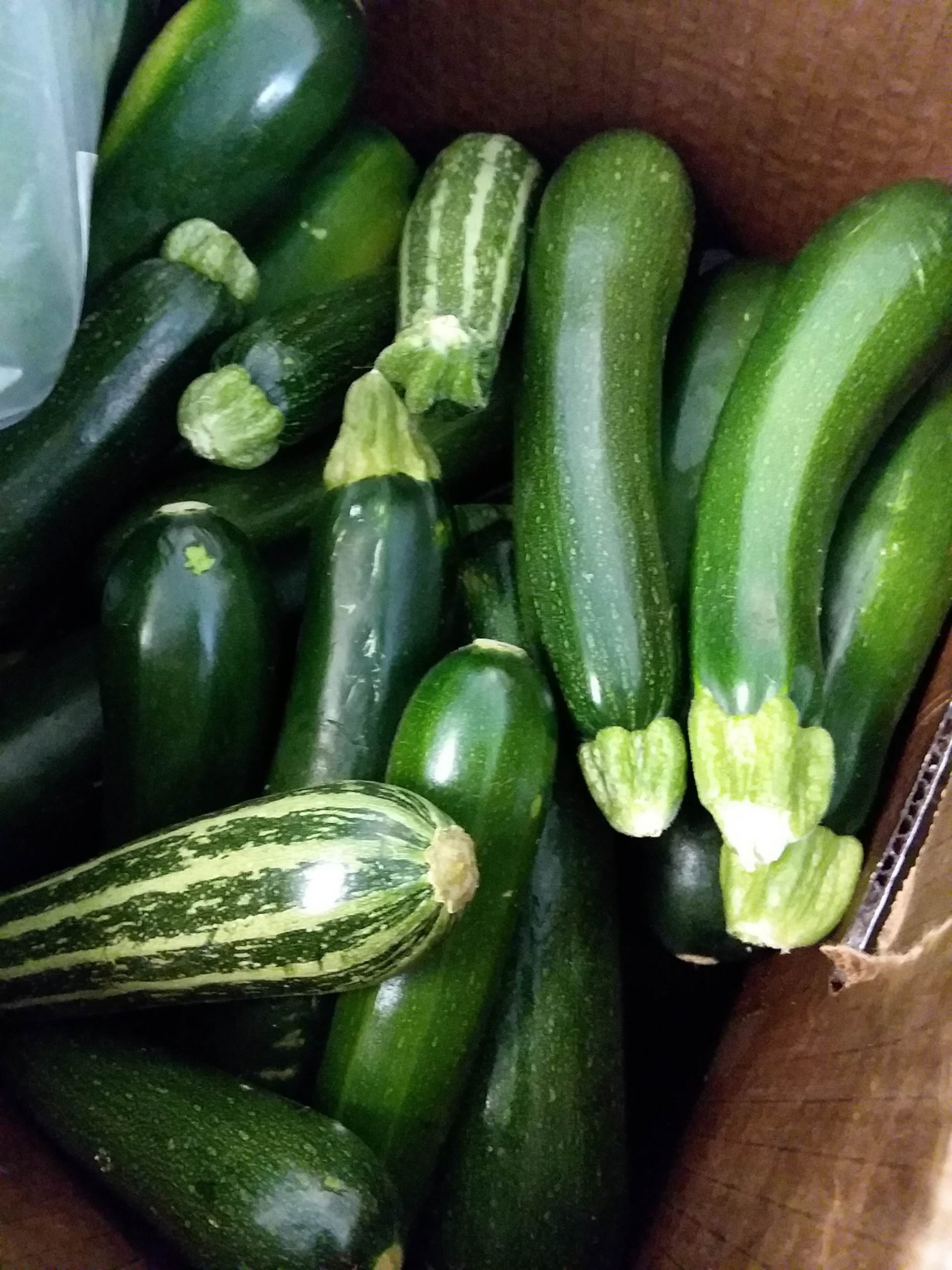 A crate of zucchini