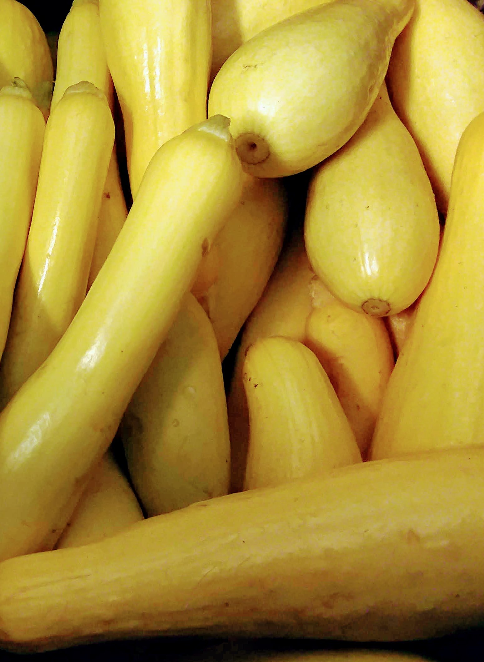 Yellow summer squash